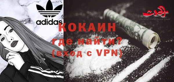 соль ск Новозыбков